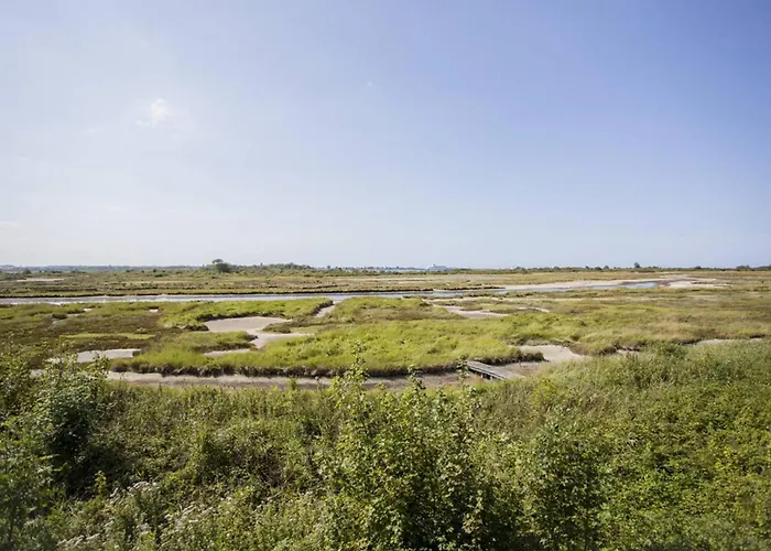 公寓 Appartement Spacieux 70M², Piscine, Parking, Pres Plage Et Commerces - Fr-1-788-38 玛维尔弗朗斯维尔